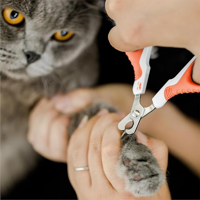 Mr. Pen Cat Nail Trimmer - Orange, Kitten & Small Dog Nail Clipper, Cat Claw Trimmer