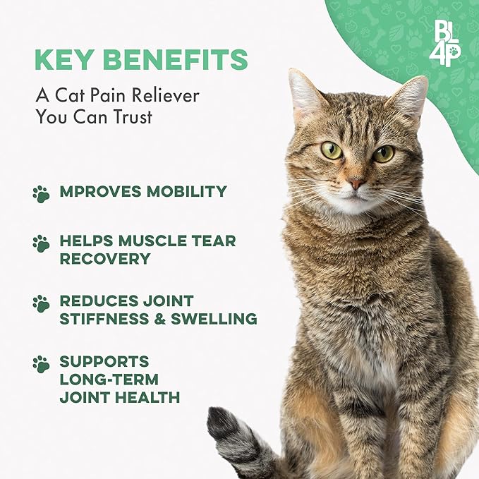 Cat Hip and Joint Pain Relief Supplement, Cat Arthritis Pain Relief, Heal from Sprains, Inflammation and Injuries, Improve Mobility, Natural Easy-to-Swallow, Odorless, Tasteless, 400 Pills