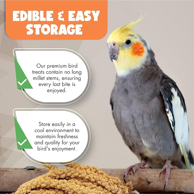 5LBS GMO-Free Sun Dried Spray Millet - Original Bird Treat Millet for Parakeets, Cockatiels, Finches & More - Non-GMO, High in Amino Acids, Easy Storage, Tasty & Healthy Bird Snacks (5 lbs)