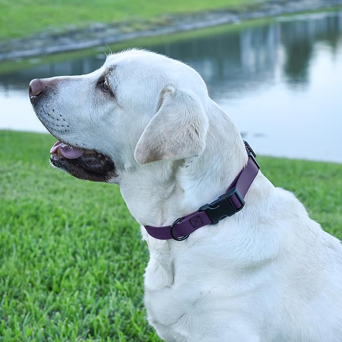 Dogline Biothane Waterproof Dog Collar with Quick Release Buckle Strong Coated Nylon Webbing with Odor- Proof for Easy Care Easy to Clean Fits Small Medium Large Dogs, Purple 5/8" W 9-14" L