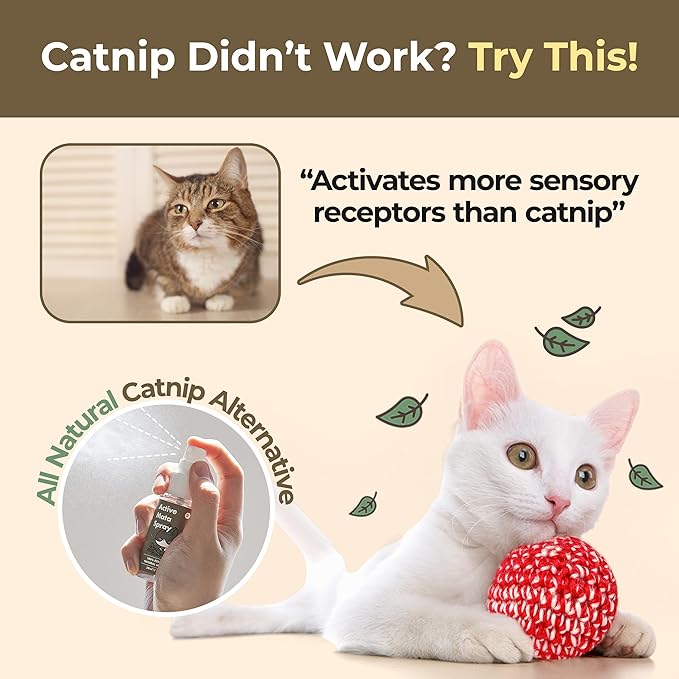 JAYU PET Active MATA Spray – 100% Natural Silvervine Spray for Cats, Liquid Catnip Alternative, Calming Spray for Indoor Kittens, Boosts Play & Engagement, Reduces Stress (1 fl oz)