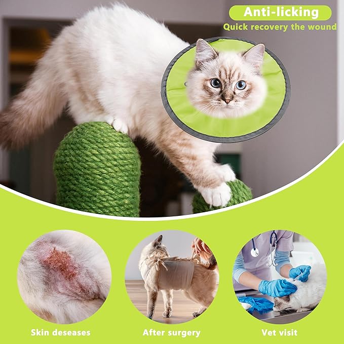Lightweight Cat Cone Collar Soft, Soft Comfortable Cat Recovery Collar After Surgery, Elizabethan E Collar for Cats, Cone for Cats to Stop Licking (Water Green, Small)