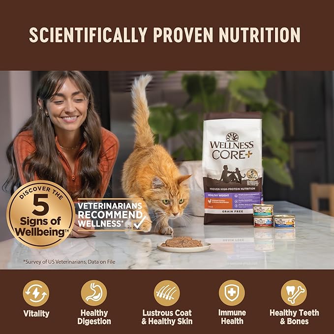 Wellness CORE+ Immune Health Pate Adult Wet Cat Food, Natural, Protein-Rich, Grain Free, 2.8 Ounce, 12 Pack (Chicken & Turkey)