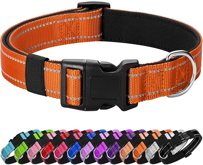 Reflective Dog Collar Padded with Soft Neoprene Breathable Quick Release Basic Dog Collars for Puppy Small Dogs Orange
