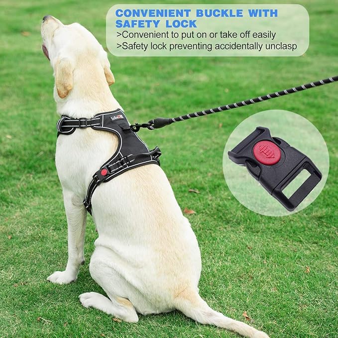 No Pull Dog Harness Adjustable Reflective Oxford Easy Control Medium Large Harness with A Free Heavy Duty 5ft Leash (L (Neck: 18"-25.5", Chest: 24.5"-33"), Purple)