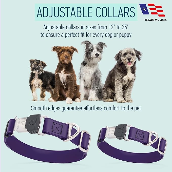 Dogline Biothane Waterproof Dog Collar with Herm Sprenger Stainless Steel Quick Release Buckle – Heavy Duty Tactical Durable Collar for Dogs – Comfortable and Safe Pet Collar, W 1" L 15-25", Purple