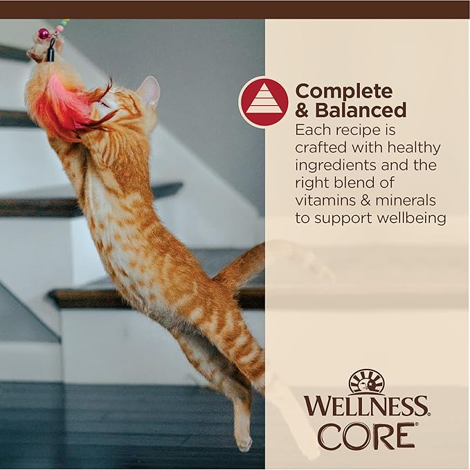 Wellness CORE Tiny Tasters Minced Adult Wet Cat Food, Natural, Protein-Rich, Grain Free, 1.75-Ounce Pouch, 12 Pack, (Chicken & Beef)