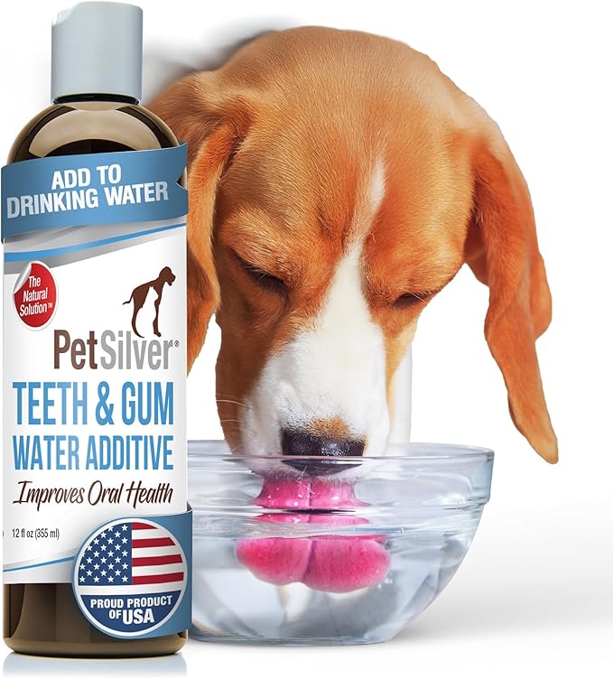 PetSilver Teeth & Gum Water Additive for Dental Care - Pet Breath Freshener - Targets Tartar, Plaque & Eliminates Bad Breath - Dog Oral Care & Cat Teeth Cleaning - No Brushing & Tasteless - 12 fl oz