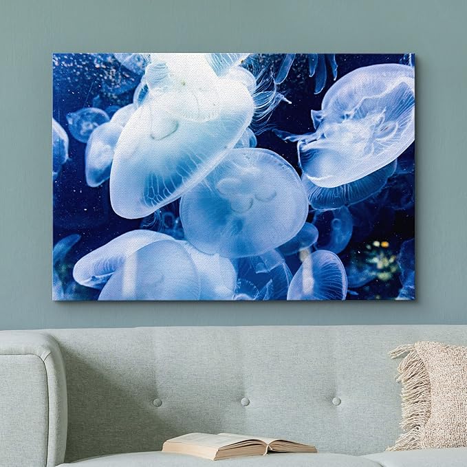 wall26 Canvas Print Wall Art Translucent X-Ray Tropical Ocean Jellyfish Nature Animals Photography Realism Rustic Scenic Landscape Wilderness Earth for Living Room, Bedroom, Office - 12"x18"