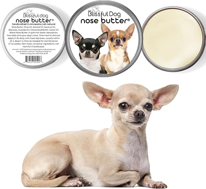 The Blissful Dog Smooth Coat Chihuahua Nose Butter for Dry, Cracked Skin, Lick-Safe Dog Nose Balm with Moisturizing Shea Butter, Almond, Olive, and Essential Oils, Pet Supplies, Uncented, 8 oz.