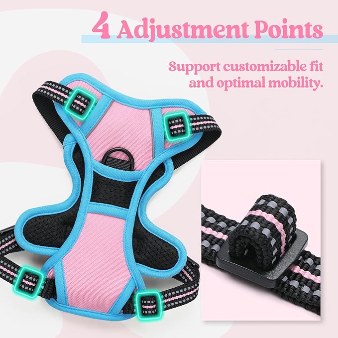 rabbitgoo Dog Harness No Pull with 2 Leash Clips, Adjustable Soft Padded, Reflective Oxford No Choke Pet Vest with Easy Control Handle for Puppy, Pink & Blue, XS