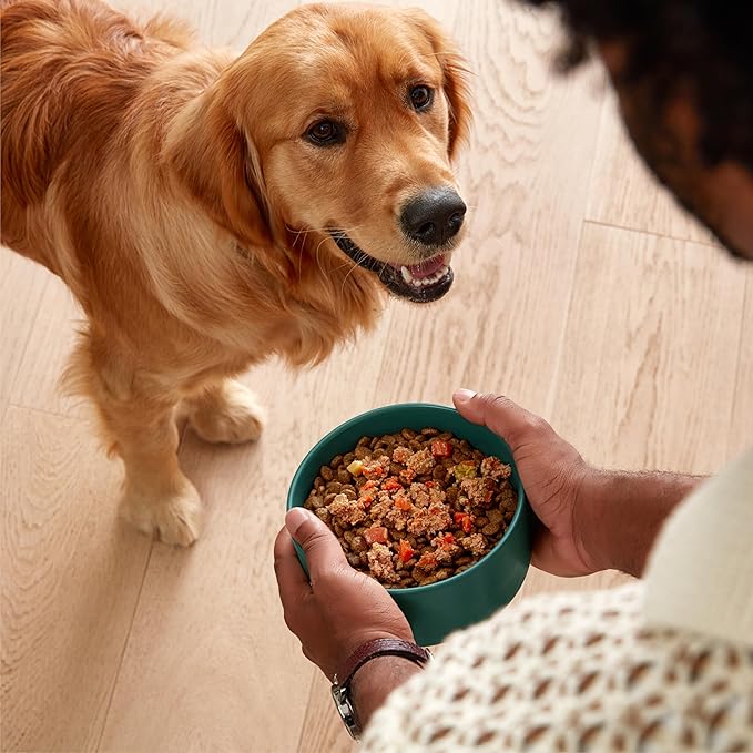 Jinx Chicken Dog Wet Food, Meal or Mix in Dog Toppers for Dry Food, Made with Real Chicken, Bone Broth & Brown Rice, No Fillers, Puppy, Adult, Senior, 3oz, 8 Pack