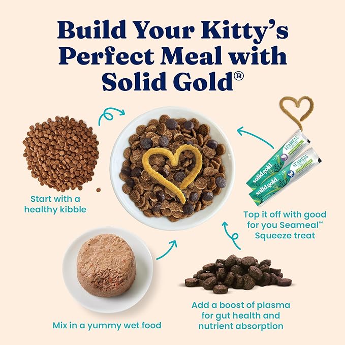 Solid Gold Tropical Blendz Salmon Pate in Coconut Oil - Nutrient-Rich Wet Cat Food for All Life Stages, 16 Pack