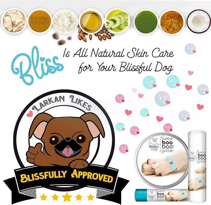 The Blissful Dog 4 oz TIN Boston Terrier Booboo Butter