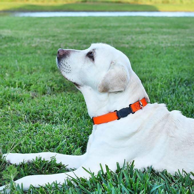 Dogline Biothane Waterproof Dog Collar with Herm Sprenger Black Stainless Steel Quick Release Buckle – Heavy Duty Tactical Durable Collar for Dogs – Comfortable and Safe Pet Collar W1 L 15-25" Orange