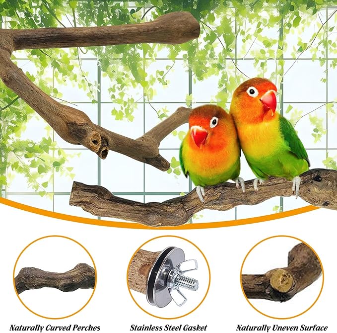 kathson 3pcs Natural Parrot Perch for Cage Wooden Bird Perches Grape Bird Stick Parakeet Climbing Standing Branches Toy Chewable Cage Accessories for Small Budgies Cockatiels Lovebirds Budgies