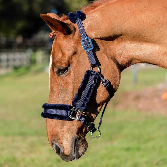 Equinavia Valkyrie Soft Ultra Fleece Padded Adjustable Breakaway Horse Halter - Navy/Navy - Cob
