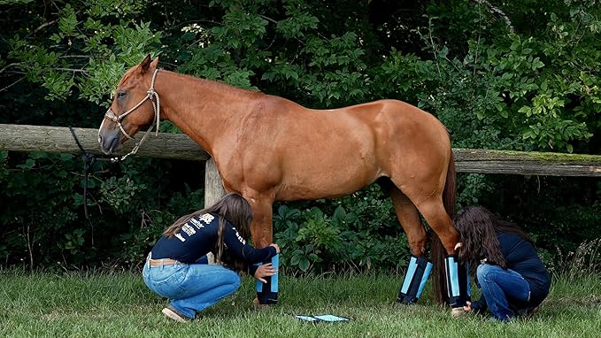 Warrior Fly Boots for Horses - Breathable Mesh Horse Boots for Fly Protection & Leg Comfort - Set of 4 (The Warrior, Neon Orange)