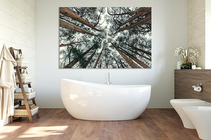 Nature Wall Art Prints - Ocean Forest Mountain Lake Canvas Landscapes - Small to Extra Large Living Room Bedroom Kitchen Bathroom Décor (Trees and Sky, 24L" x 36W")