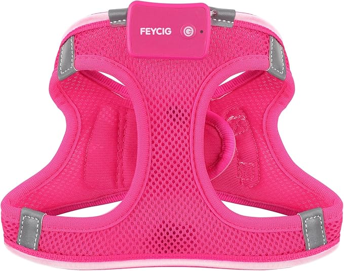 Light Up Dog Harness,Rechargeable LED Dog Harness for Small Medium Large Dogs,Reflective Lighted Safety Vest for Night Walking & Camping,Lightweight & Adjustable,Pink,M