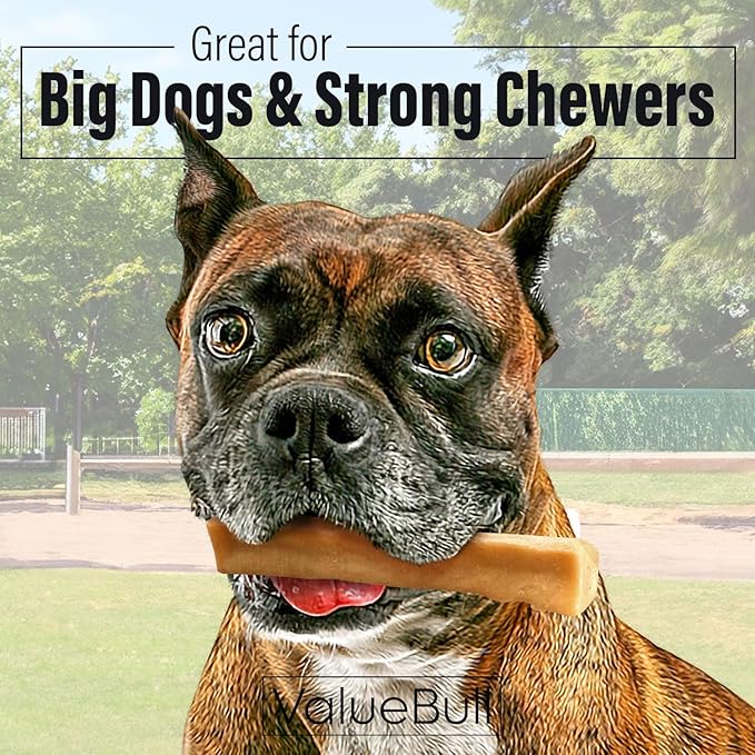ValueBull Himalayan Yak Cheese Dog Chews, Large, 50 ct Wholesale Pack - Long Lasting for Aggressive Chewers, All Natural, Healthy & Safe, Low Odor Nepal Yak Milk Chews