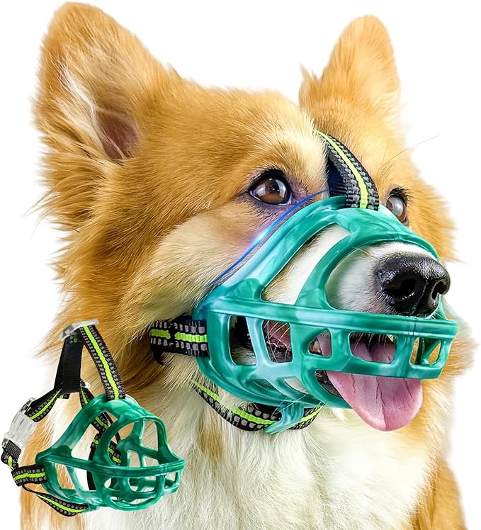 Dog Muzzle, Basket Muzzle for Small Medium Large Dogs, Anti-Biting and Chewing, Lightweight & Sturdy Cage Design, Allows Panting & Drinking, Ideal for Grooming & Training(Green Size XL)