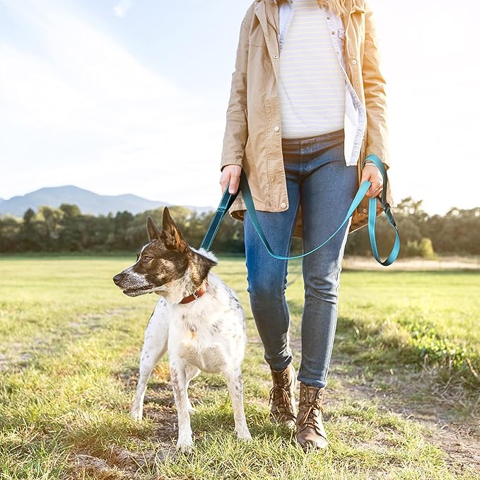 TwoEar 6FT 1IN Strong Blue Dog Leash with 2 Padded Handles, Traffic Handle Extra Control, Comfortable Soft Dual Handle, Auto Lock Hook, Reflective Walking Lead for Small Medium and Large Dogs