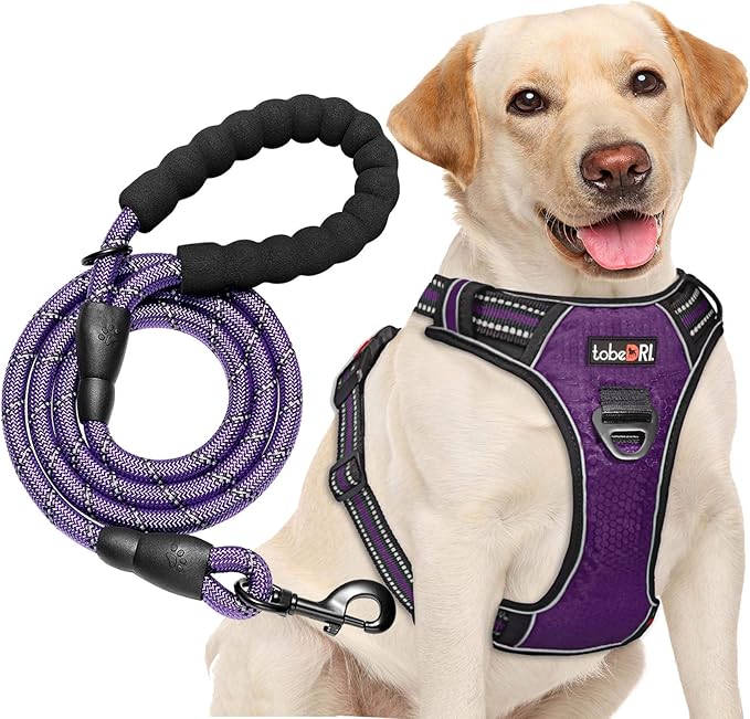 No Pull Dog Harness Adjustable Reflective Oxford Easy Control Medium Large Dog Harness with A Free Heavy Duty 5ft Dog Leash (XL (Neck: 21.5"-33", Chest: 30"-39.5"), Purple Harness+Leash)
