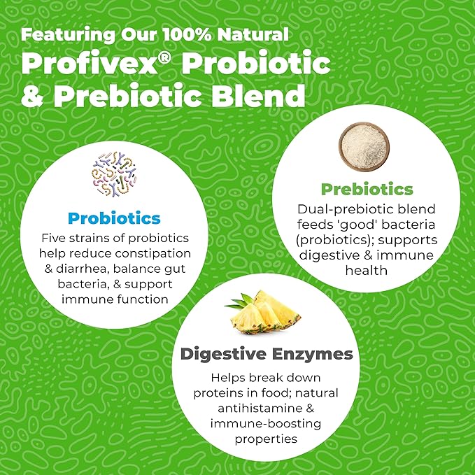 Vetnique Glandex Daily Probiotics for Dogs with Prebiotics to Support Gut Health with Fiber and Digestive Enzymes, Probiotic Chews or Powders (30ct Chews, Bacon Chews)