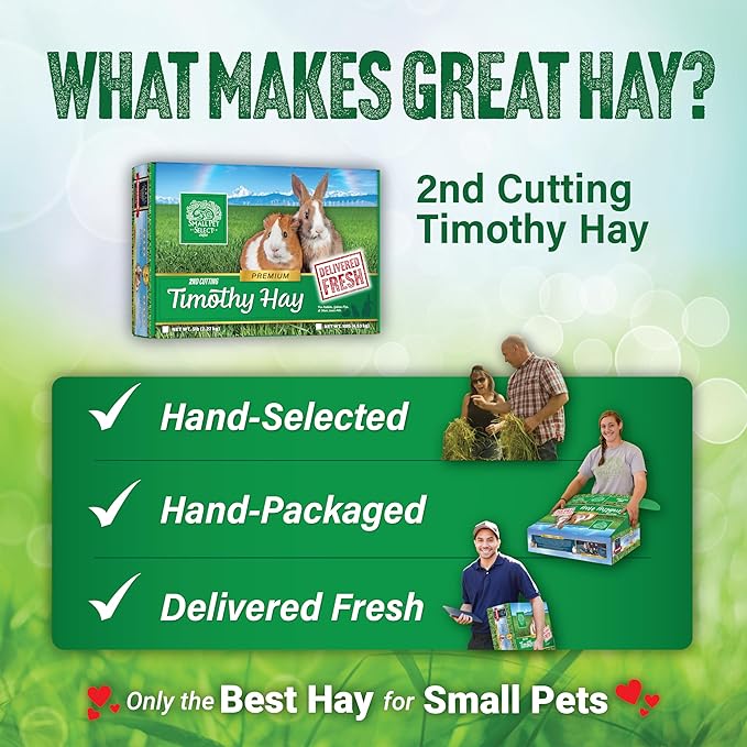 Small Pet Select 2nd Cutting Perfect Blend Timothy Hay Pet Food for Rabbits, Guinea Pigs, Chinchillas and Other Small Animals, Premium Natural Hay Grown in The US, 25 LB