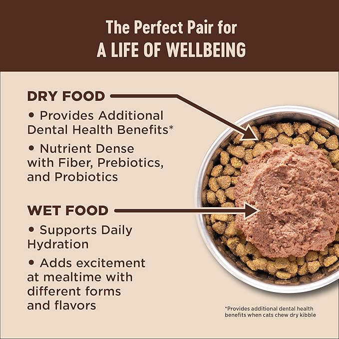 Wellness CORE+ Indoor Pate Adult Wet Cat Food, Natural, Protein-Rich, Grain Free, 3 Ounce, 12 Pack (Chicken & Chicken Liver)