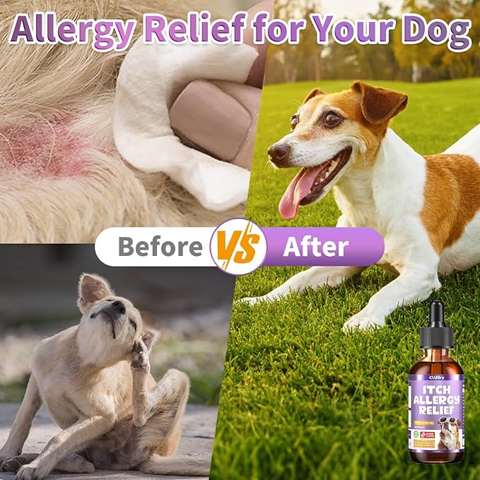 Dog Allergy Relief Drops, Skin & Coat Support with Fish Oil and Omega-3, Natural Immune Supplement for Dogs – Seasonal Allergy & Itchy Skin Care – Soothes Sensitive Skin, Itch Relief for Dog, 2 Fl oz