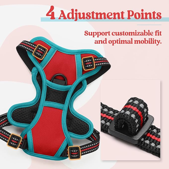 rabbitgoo Dog Harness No Pull with 2 Leash Clips, Adjustable Soft Padded, Reflective Oxford No Choke Pet Vest with Easy Control Handle for Puppy, Red & Teal, XS