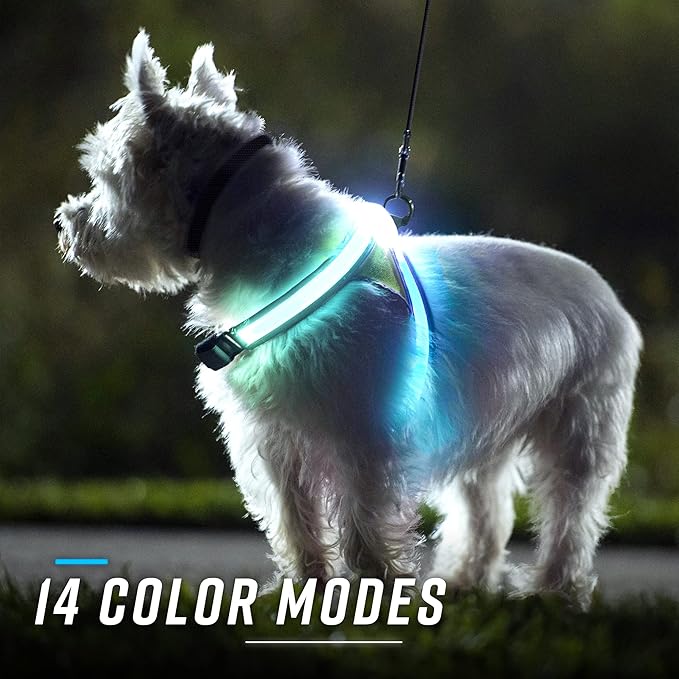 Noxgear LightHound – Revolutionary Illuminated and Reflective Harness for Dogs Including Multicolored LED Fiber Optics (USB Rechargeable, Adjustable, Lightweight, Rainproof) (Small)