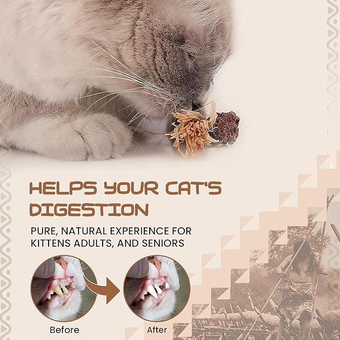 Catnip Silvervine Sticks for Cats | Silver Vine Chew Toy or Cat Chew Stick | Kitten Teething Toys | Cat Dental Chew with Cat Raffia Grass for Healthy Teeth & Digestion | Silvervine Cat Toy | 2 Sticks
