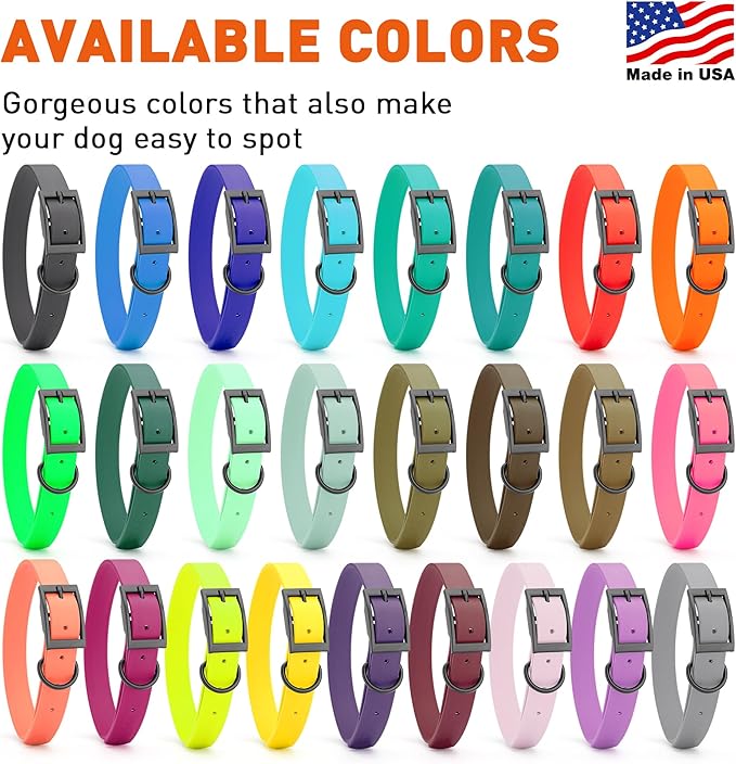 Dogline Biothane Waterproof Dog Collar Strong Coated Nylon Webbing with Black Hardware Odor- Proof for Easy Care Easy to Clean High Performance Fits Small Medium or Large Dogs, Sky Blue