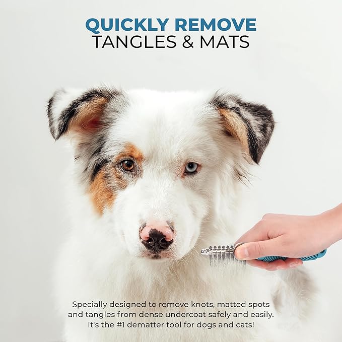 Poodle Dematting Fur Rake Comb Brush for Dogs and Cats - Long 2.5" Steel Safety Blades Metal Comb for Detangling Matted or Knotted Undercoat Hair