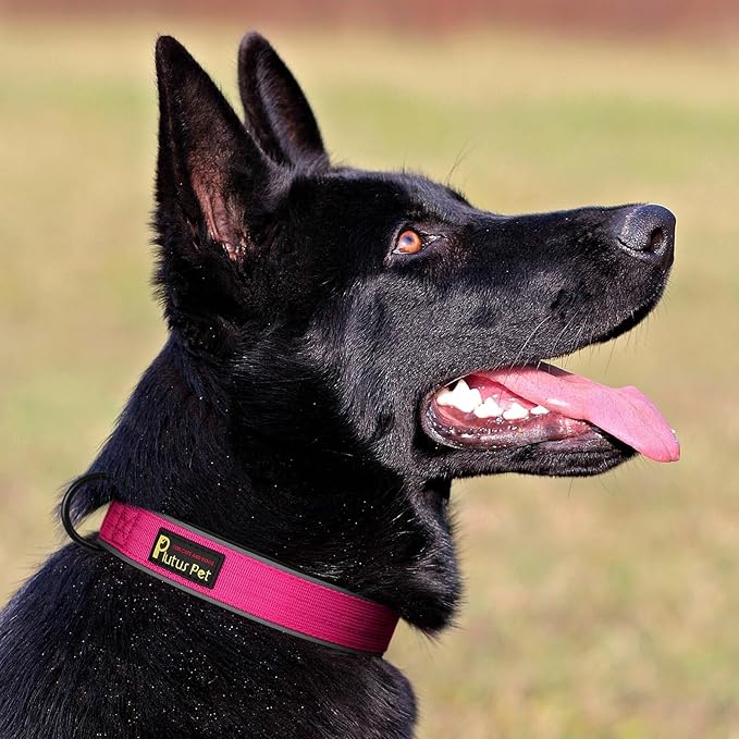 Plutus Pet Tactical Dog Collar, Reflective, Adjustable Heavy Duty Dog Collar, Soft Padded and Comfortable, for Small Medium and Large Dogs (Hot Pink, M)