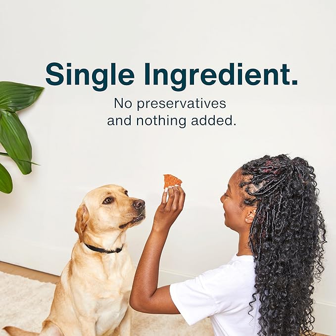 JustFoodForDogs Snack for Dogs, Single-Ingredient Chicken Healthy Dog Treats, 18 oz