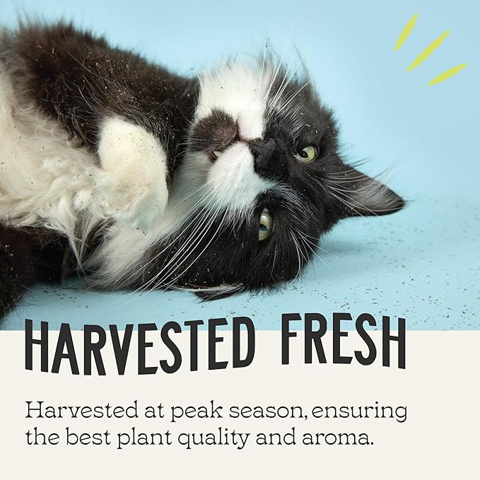 Catnip, All Natural Premium Catnip (8 oz Thick Cut)
