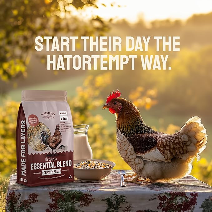 PTCOM Hatortempt 5lb Organic Chicken Feed for Laying Hens - 3 Grain Essential Blend - 5% Calcium with Oyster Shell for Chickens - Grit for Digestion - Chicken Food - Healthier Hens for Healthier Eggs