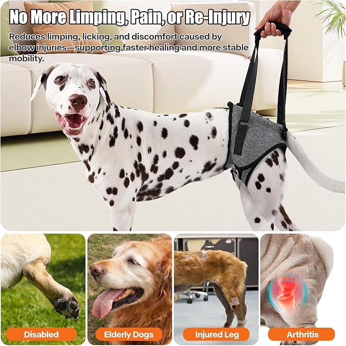 Dog Sling for Medium Large Dog Rear Leg, Lift Harness Provide Support with Muscle Atrophy and Joint Problems for Elderly Injured Arthritic Pet, Dog Weak Rear Legs Provides Rehabilitation Aid