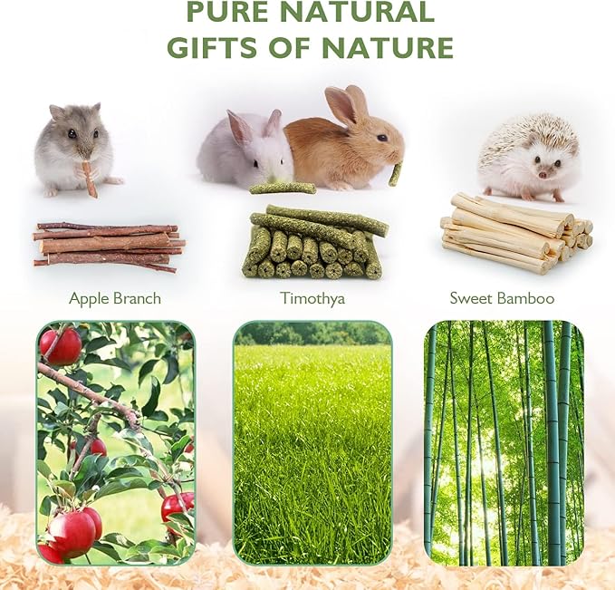300g Guinea Pig & Rabbit Chew Toys with Apple & Timothy Sticks - Prevent Overgrown Teeth with Sweet Bamboo Treats - Ideal Rabbit Treats Included!
