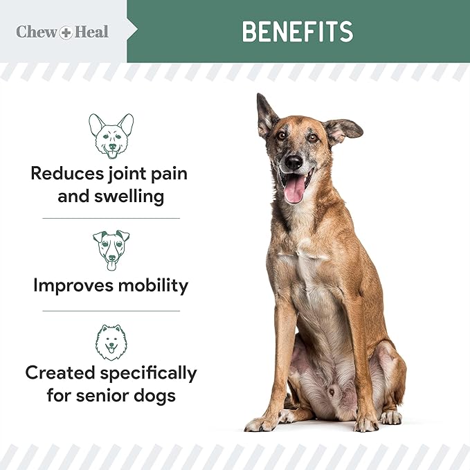 Glucosamine for Dogs Hip and Joint Supplement - 60 Senior Dogs Mobility Soft Chews - Made with Glucosamine, MSM, Chondroitin, Green Lipped Mussels and More - Made in The USA