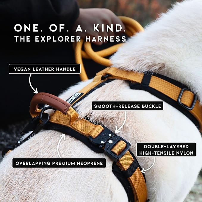 MADE TO ROAM Premium Explorer Harness - Y-Shaped Dog Harness with Adjustable Durable Nylon, Soft Padding, Metal Buckles and Leather Handle for Small, Medium, Large Dogs (California Horizon, Size 6)