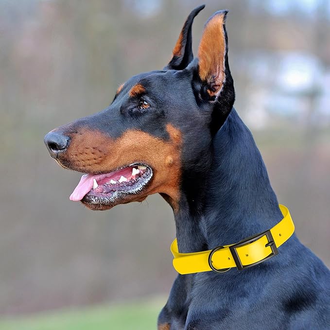 Dogline Biothane Waterproof Dog Collar Strong Coated Nylon Webbing with Black Hardware Odor- Proof for Easy Care Easy to Clean High Performance Fits Small Medium or Large Dogs, Lemon Yellow