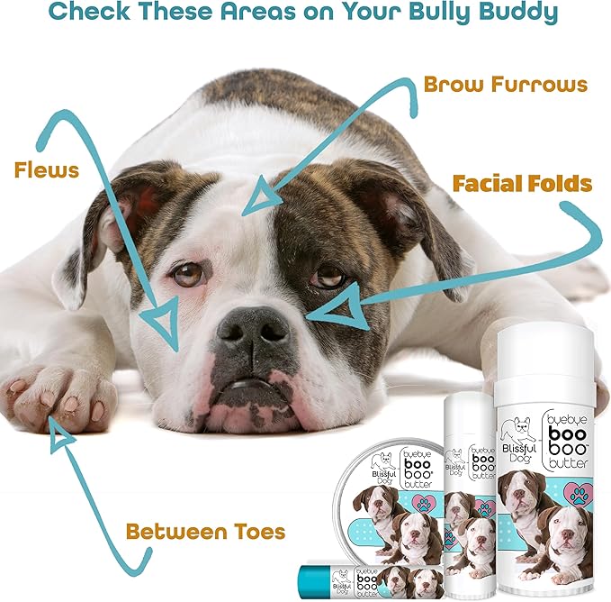 The Blissful Dog 4 oz TIN American Bulldog Booboo Butter
