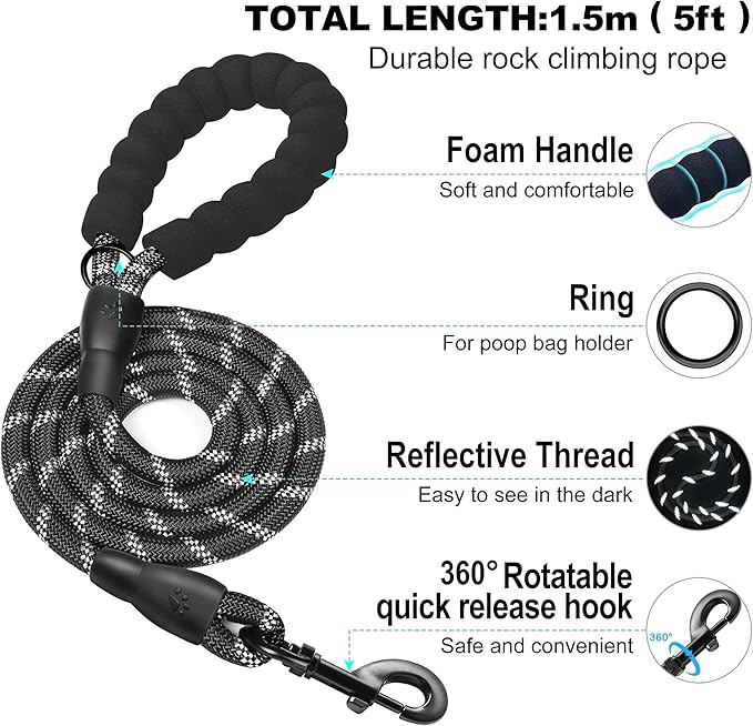 haapaw Dog Harness with Leash Set, No Pull Adjustable Reflective Step-in Puppy Harness with Thickened Padded Vest for Extra-Small/Small Medium Dogs