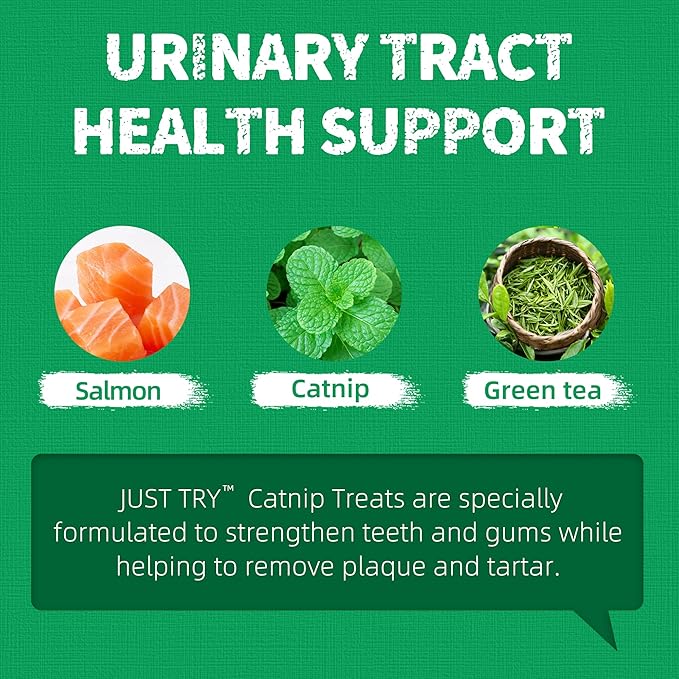 Just Try 13.4 OZ Crunchy Cat Treats Catnip Treats for Cats with Digestive Support, Natural Ingredients Kitten Treats with Real Salmon, Healthy Feline Snacks Training Biscuits Dental Care