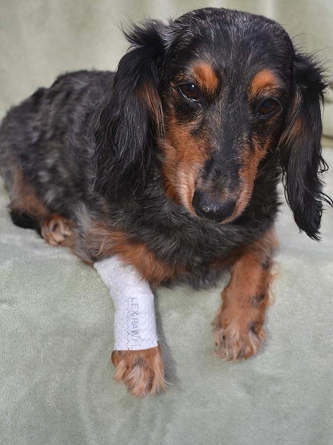 Protective Sleeve Tubular Cover - Bandages - for Dogs Cats and Other Pets First Aid Wound Care Comfortable Non-Adhesive Breathable & Water Resistant 12 Strips (yields 24-36 Covers)-(X-Large)